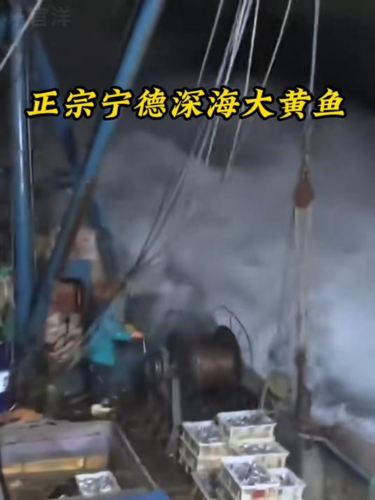 不用复杂调料|深海大黄鱼,简单蒸就超好吃#深海大黄鱼##厨房小白也能做##懒人食谱##家常
