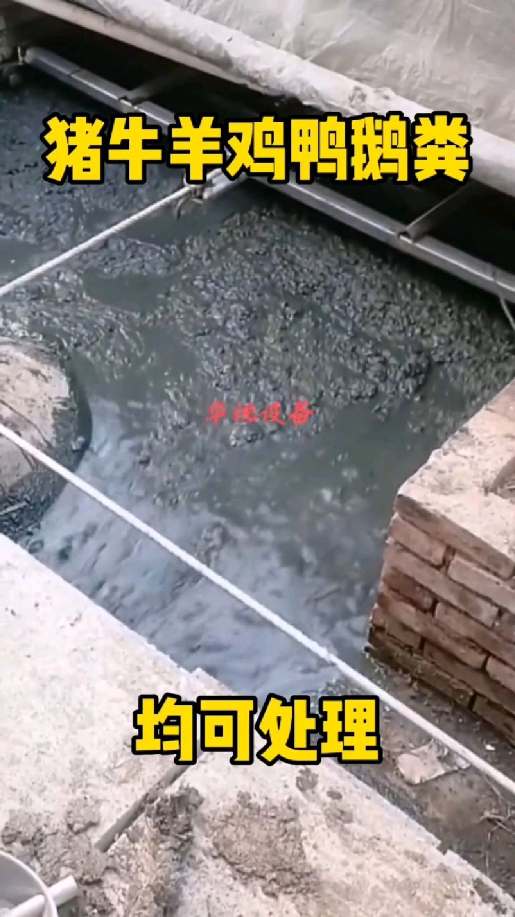 猪牛羊鸡鸭鹅粪用抽污泵直接抽到固液分离机里,实现固液分离