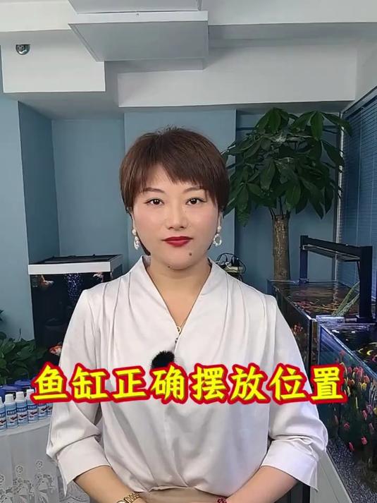 鱼缸正确的摆放位置