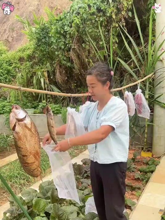 腊肉容易长虫,用这个腊肉防虫袋,吃不完的腊肉密封起来!