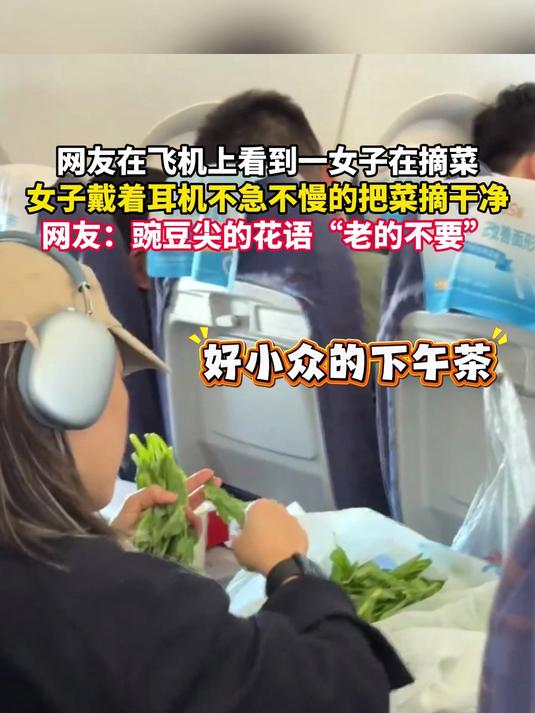 网友在飞机上看到一女子在摘菜，女子戴着耳机不急不慢的把菜摘干净，网友：豌豆尖的花语“老的不