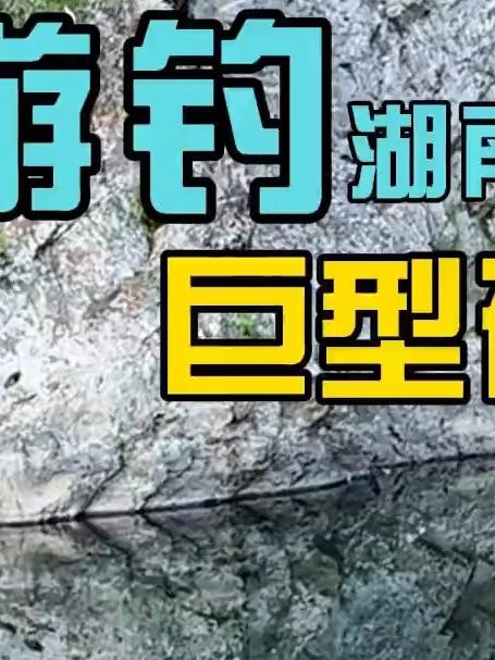 湖南怀化这条深山小溪里的石斑鱼泛滥了,下竿就能中鱼,惊喜连连