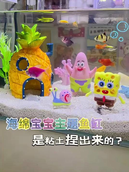 快来看我养的鱼