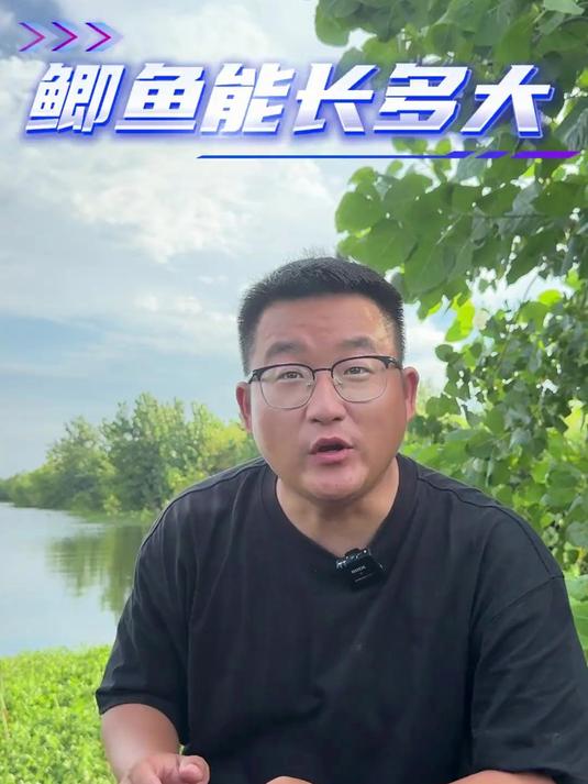 你钓过最大的鲫鱼有多大