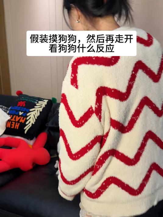 第一次在小狗脸上看到惊恐的表情 #情侣日常#