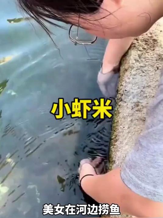 公鸡吃小虾米，营养丰富助力健康，农家养殖见奇效