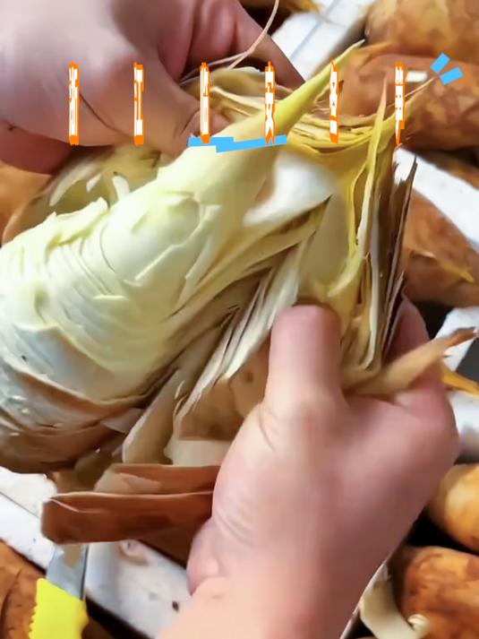 浙江临安高山黄泥冬笋，新鲜现挖脆嫩甘甜不涩，低脂健康超下饭！