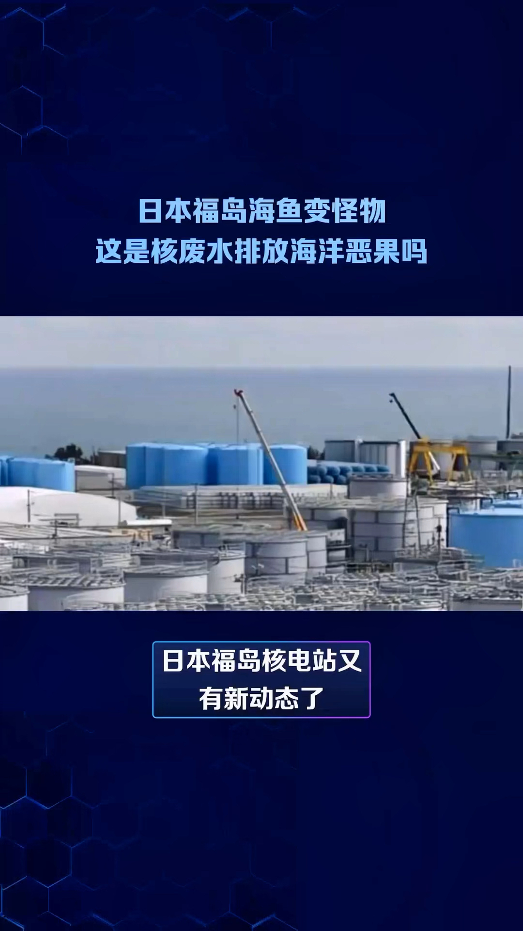 日本福岛湾内海鱼放射性物质超标180倍