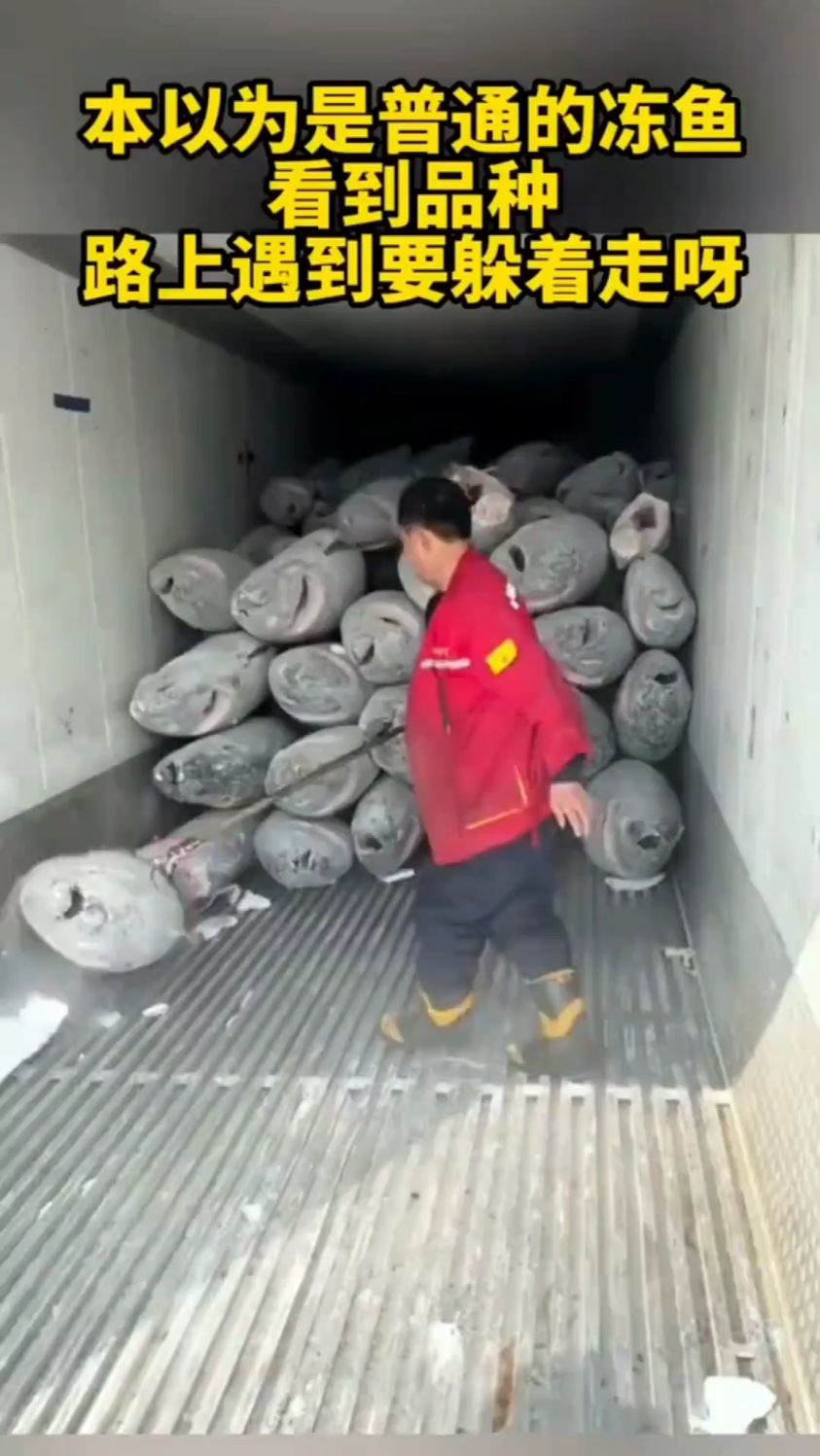 本以为是普通的冻鱼,看到品种后,路上遇到要躲着走呀