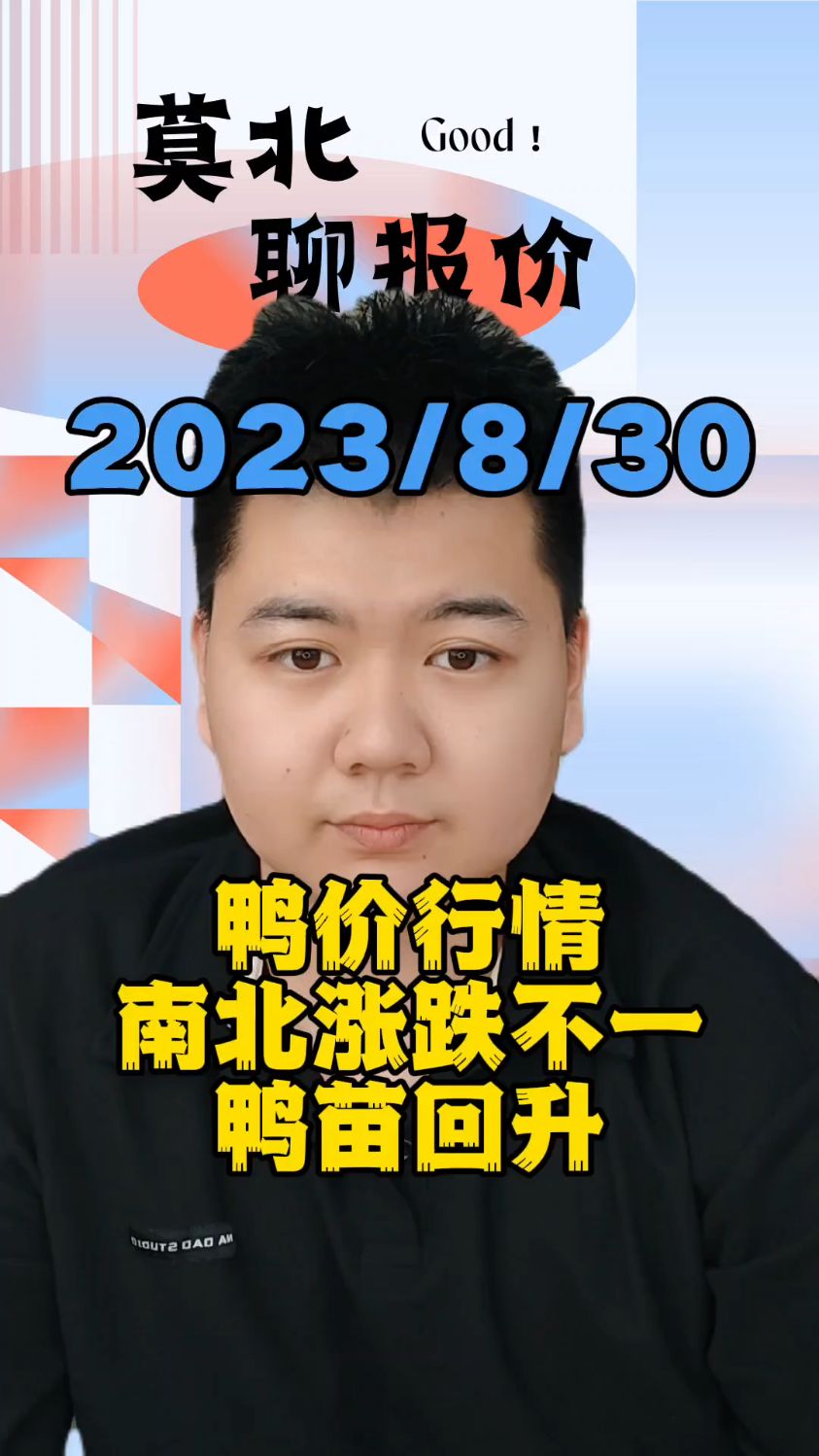 8月30号最新鸭价,当前白鸭苗反扑上涨,当前鸭苗上涨2-3毛,目前鸭苗最高报价2.07
