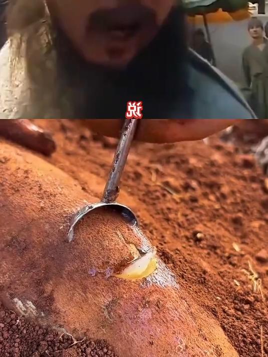 雪莲果别只生吃!教你做雪莲果排骨汤,清甜解腻,秋冬喝太舒服了