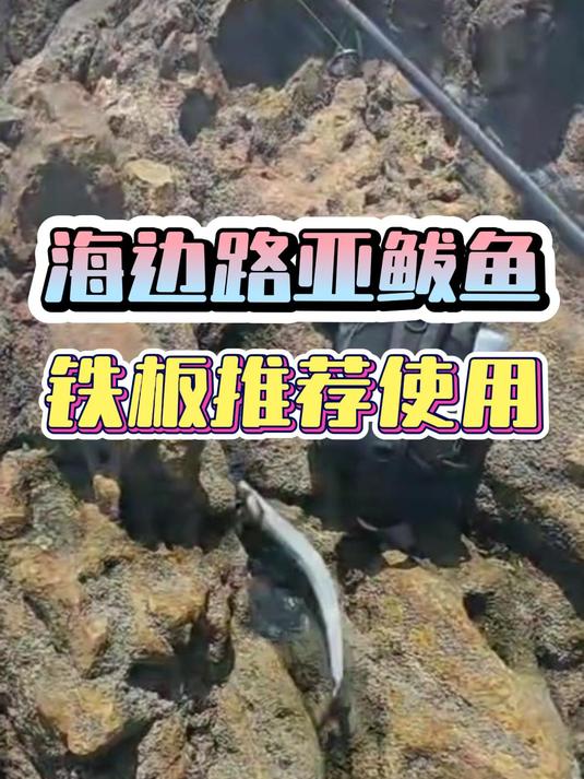 海边路亚鲅鱼,应该使用什么饵?