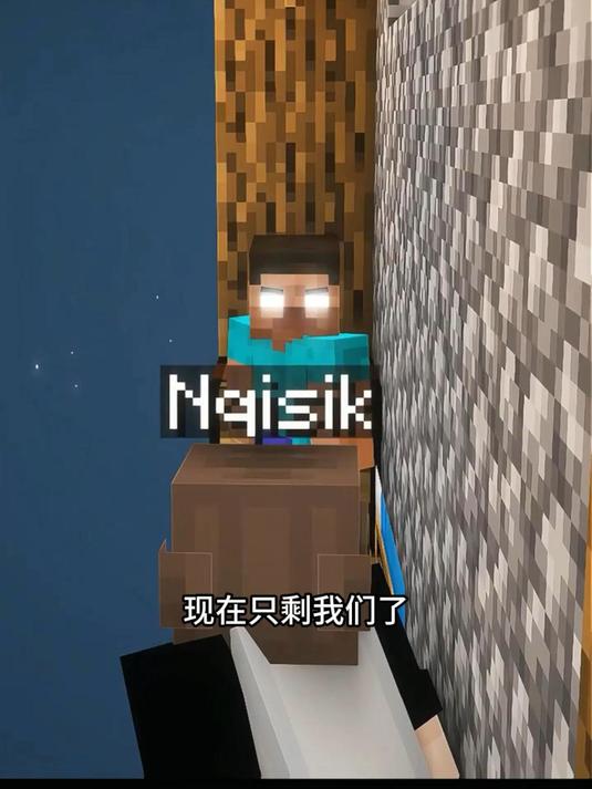 白眼永远在你身后 我的世界  mc  mc不灭  mc酸菜鱼