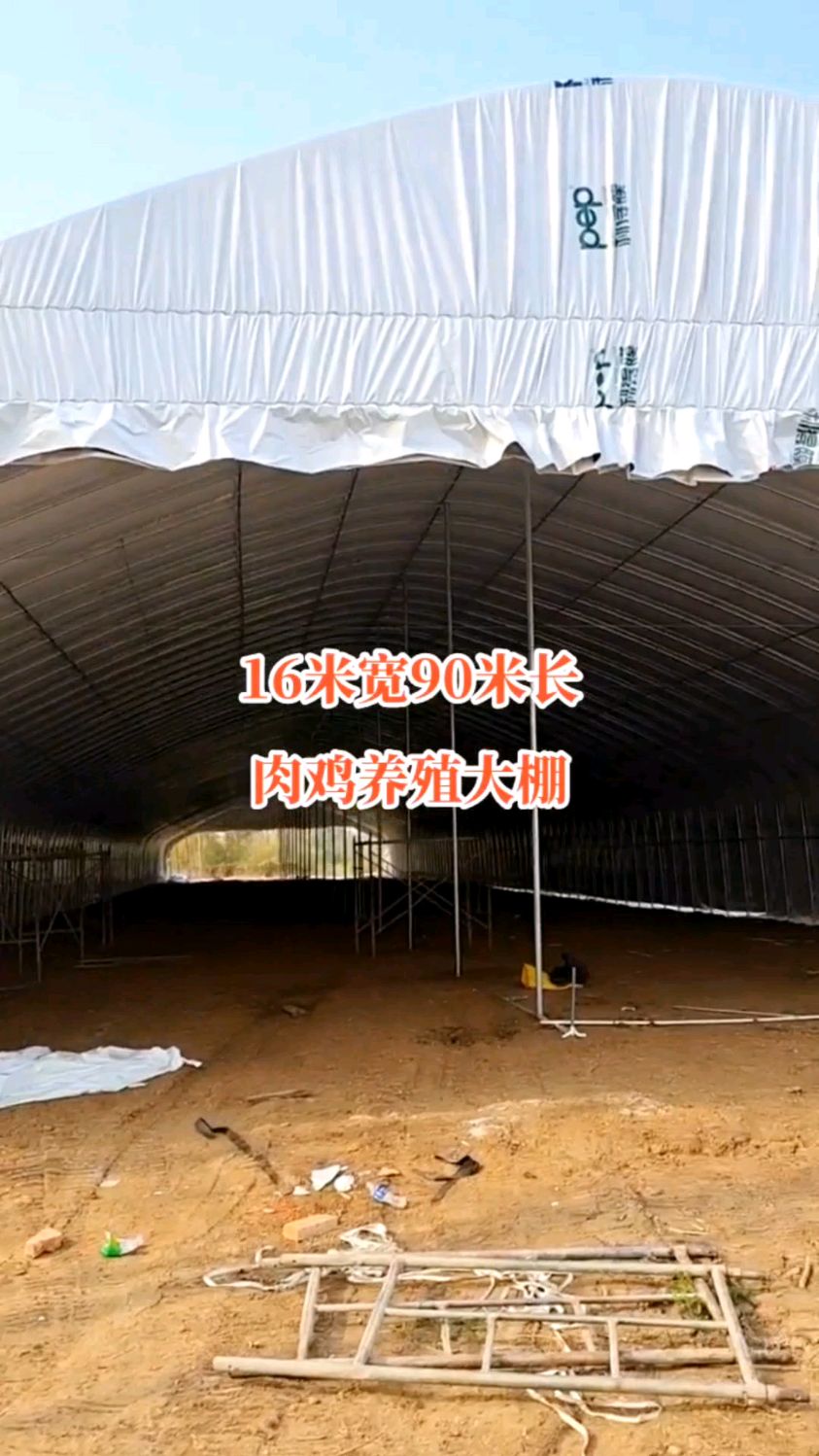 16米宽90米长肉鸡养殖大棚。