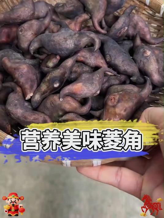 又到了菱角上市的季节今年的第一餐菱角_你吃了吗_#菱角