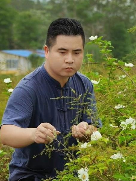 吃金樱子花的季节,为了这一口春天的鲜味,必须当一回采花大盗