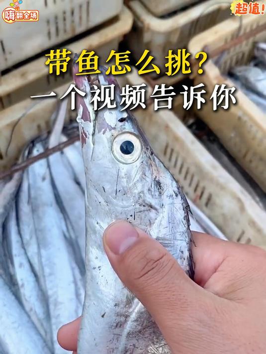 #美食##海鲜#海捕小眼带鱼，整条切段，干净新鲜，家常海鲜好选择