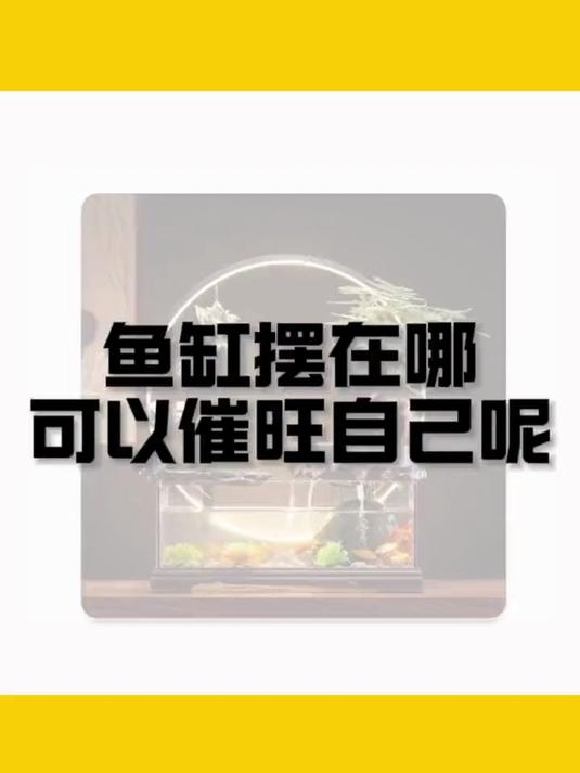 鱼缸摆放在哪里好