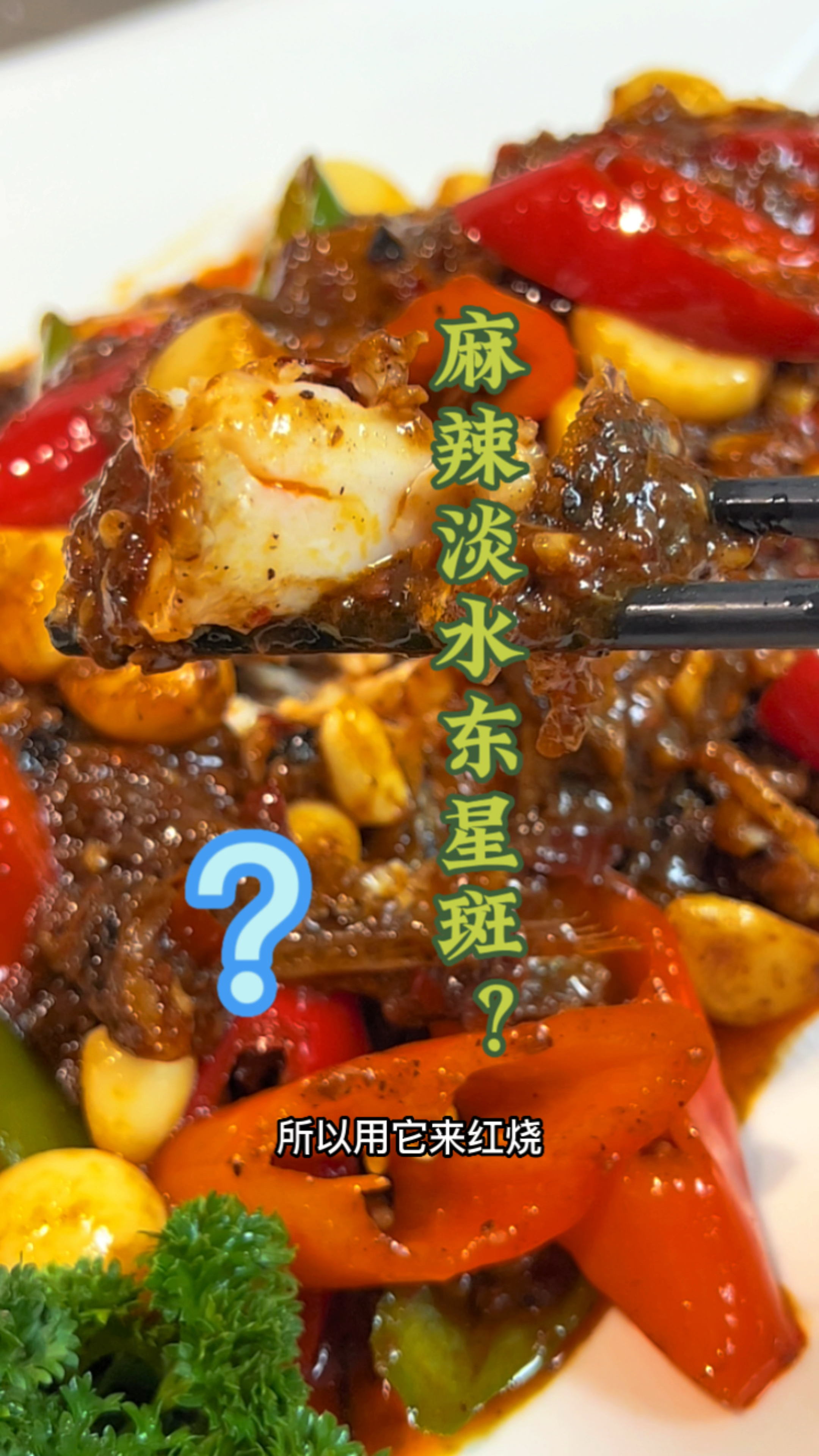 你吃过淡水东星斑?广东人没人不吃过这鱼吧?