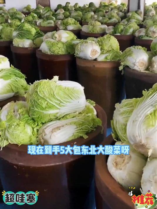 东北大缸腌制酸菜 颜色金黄 吃起来又脆又爽口