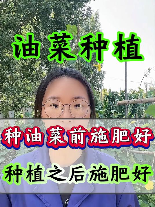 油菜种植前施肥好 还是种植之后施肥好