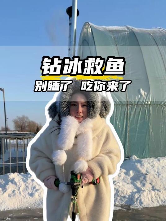 东北的鱼也会被冻住吗?