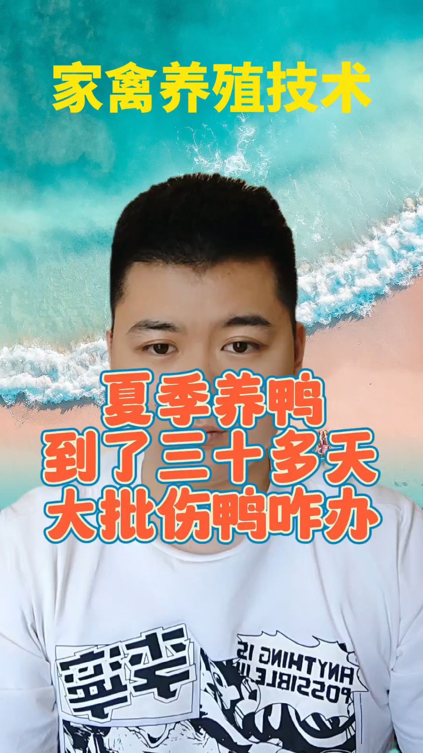 #养殖肉鸭黑肺怎么冶鸭子黑肺用啥好使鸭子黑肺是怎么造成的鸭子黑肺是什么原因