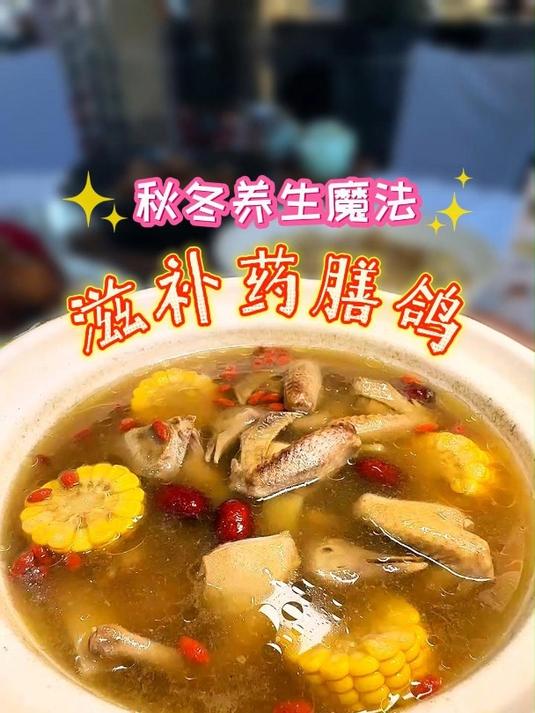 广东煲汤有多离谱?煲一碗靓汤,是广东人的追求。药膳乳鸽汤来啦