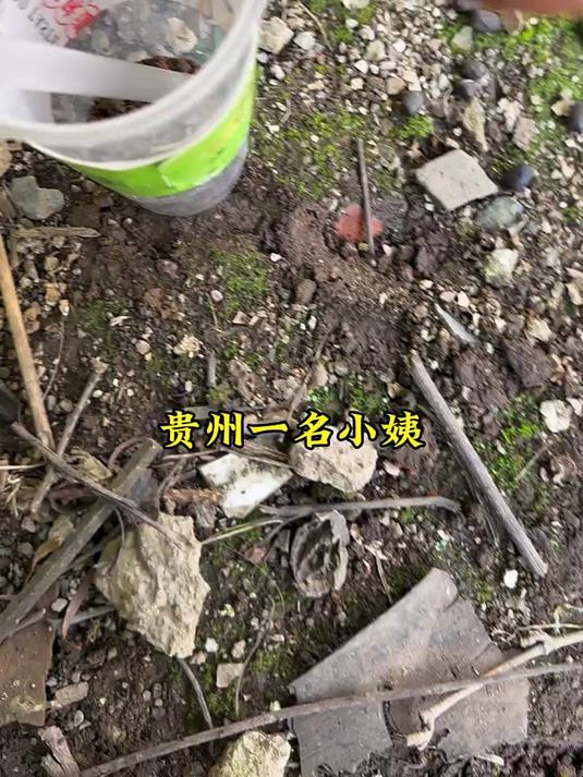 秋天的第一杯奶茶我请你喝 搞笑视频 秋天的第杯奶茶