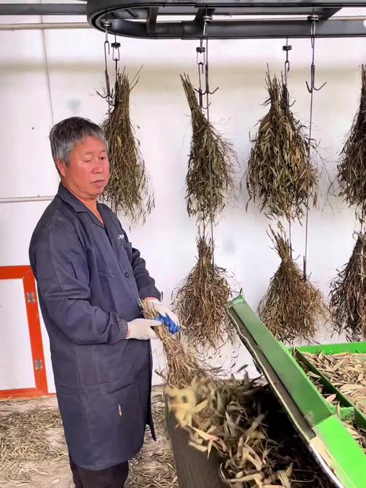 手扎扫把