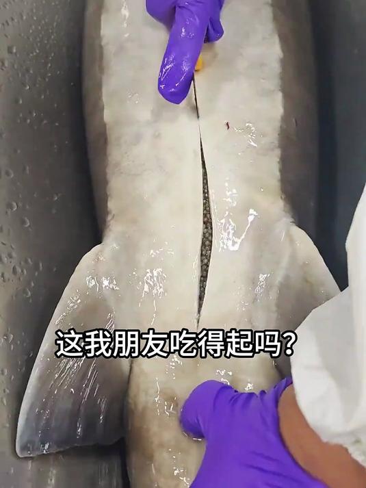 一口气带你认识20种顶级食材，你都吃过几种？