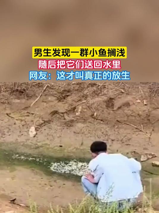 男生发现一群小鱼搁浅,随后把它们送回水里,网友:这才叫真正的放生