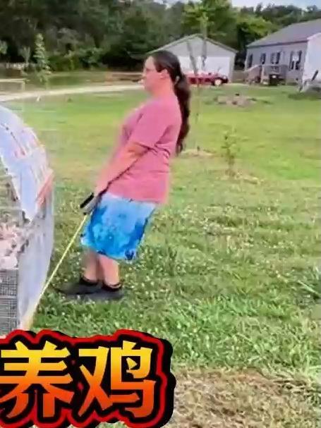 以生态循环方式养鸡又养地的可移动鸡场