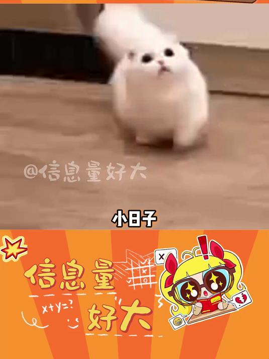 这剧情真的太癫了看得人鬼火冒