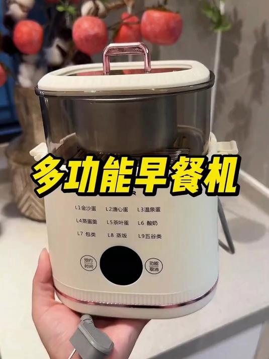 多功能蒸蛋煮蛋器预约早餐神器家用迷你电蒸锅自动断电#居家好物##煮蛋神器#