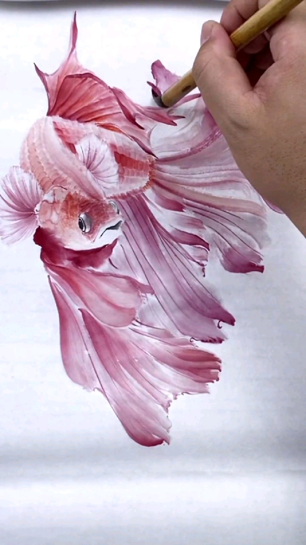 如何画好红色斗鱼