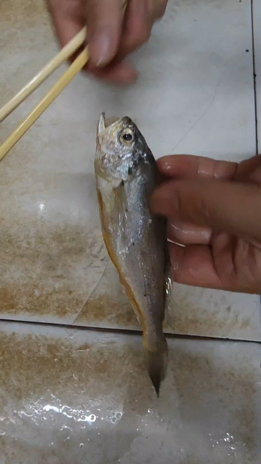 最简单的小黄鱼处理方法