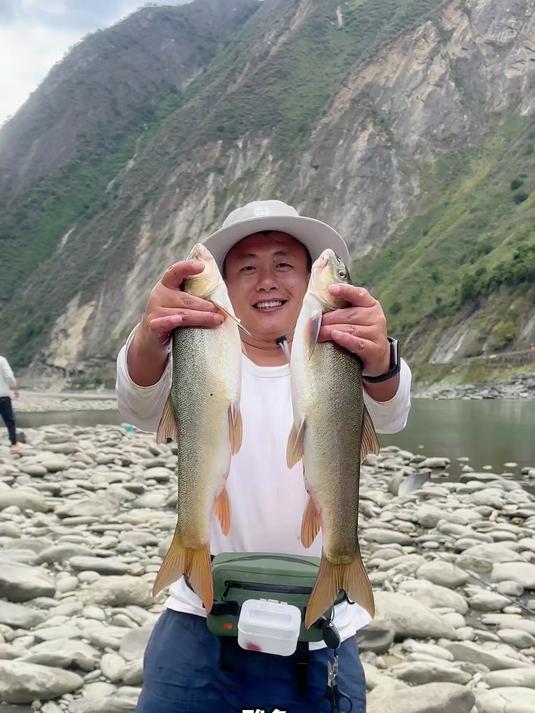 雅鱼也叫裂腹鱼,很多人都吃过但没有钓过可以试试一瓶可以用很久