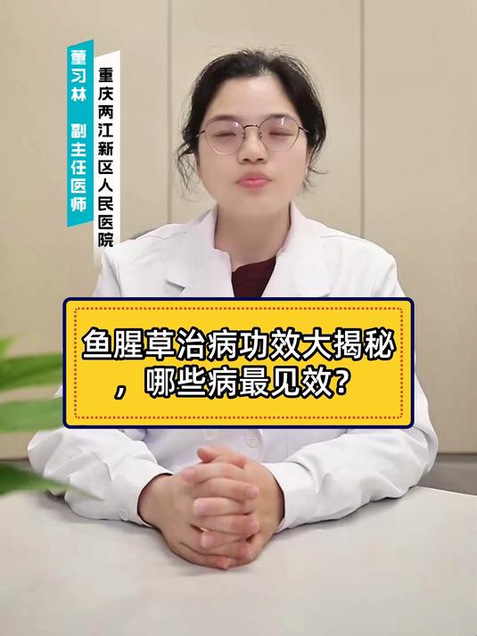 鱼腥草治病功效大揭秘,哪些病最见效?