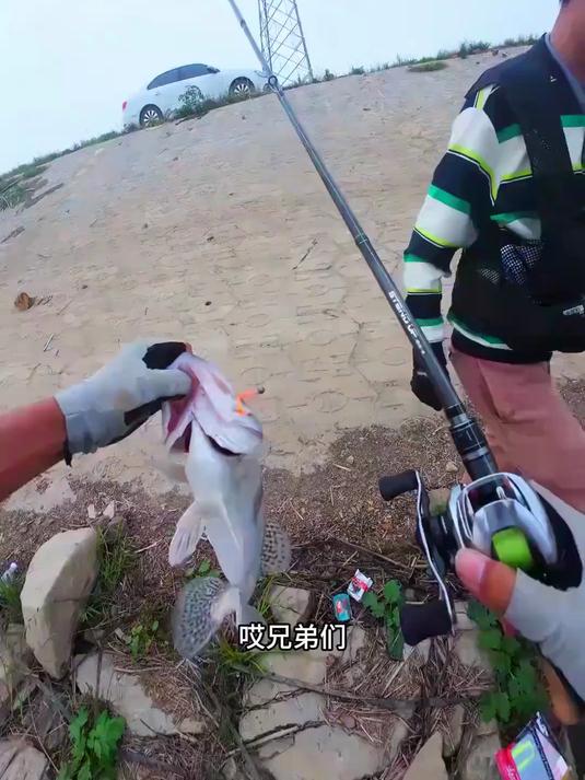 残血断杆强拔坛子，断了竿稍的杆子不要扔，旋转一下秒变巨物杆#榜单冲锋赛#