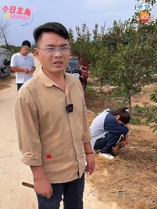 现采现发的新鲜的巧克力脆柿子又脆又甜无丝无核