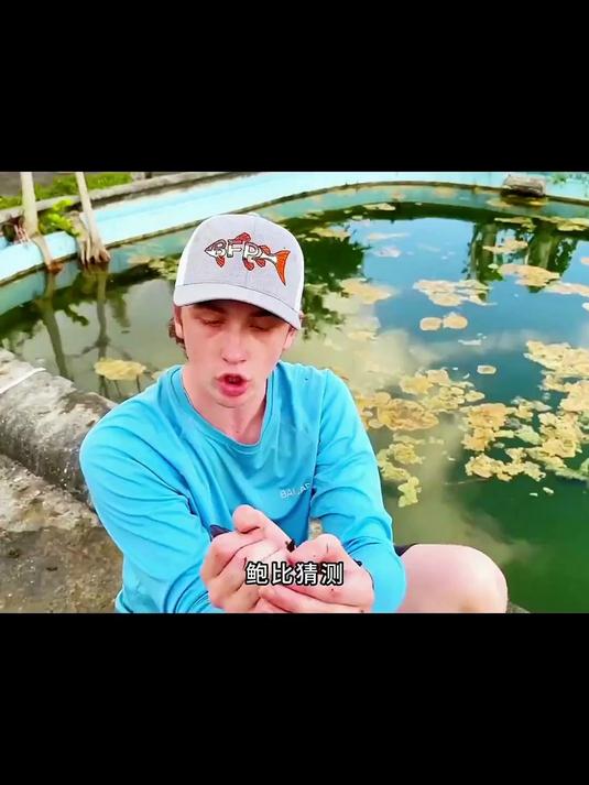 当地人将这种鱼称为秃鹫鲶鱼