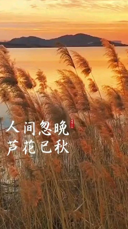 我的配音 芦花