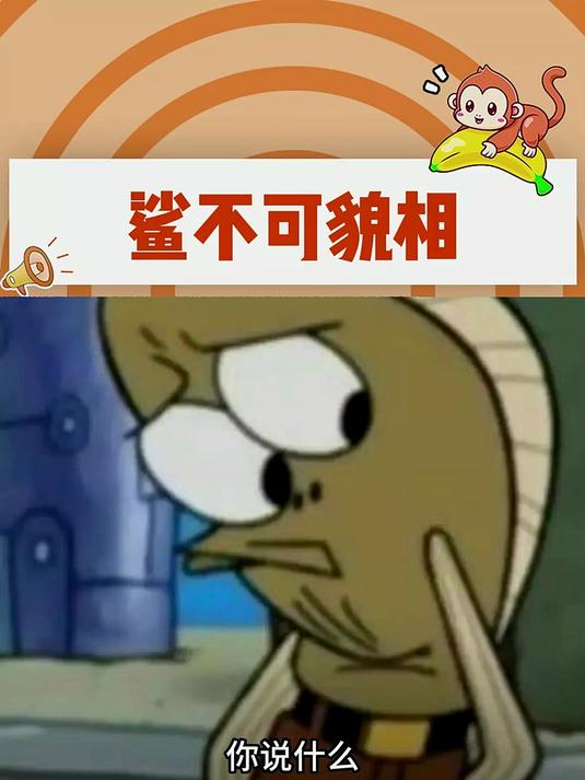 人不可貌相 鲨更不可貌相!鲨鱼 万万没想到 屈氏鼬鲨