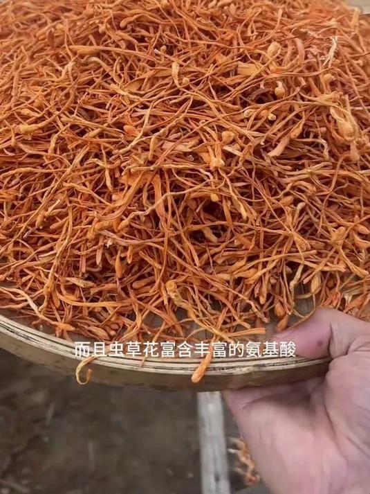 滋补营养超到位!虫草花炖鸡汤超棒