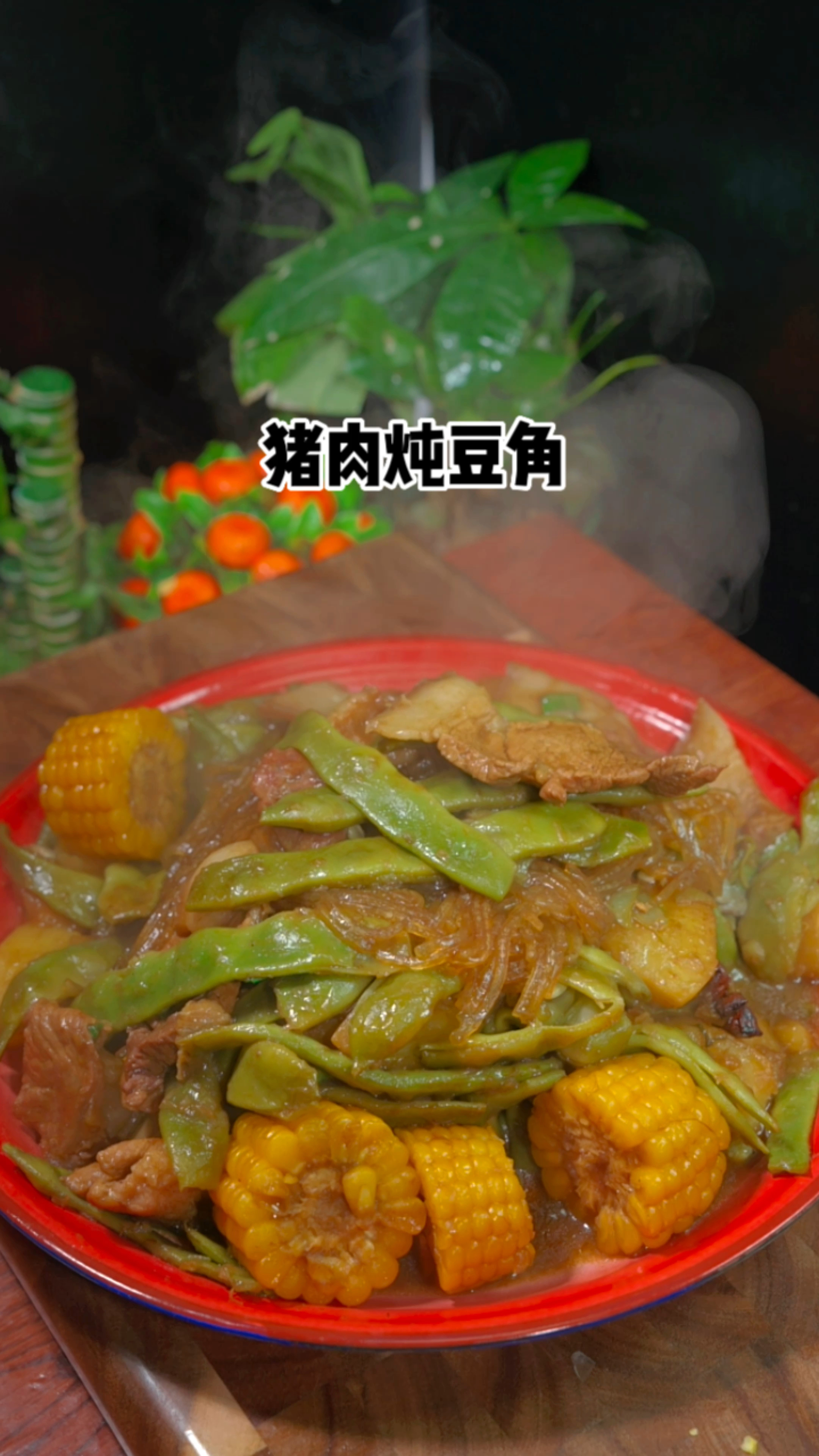 猪肉炖豆角、地道的东北家常菜