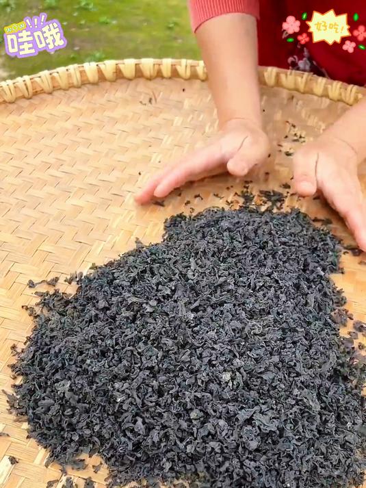 雨后的山上藏着人间美味去山上捡了不少地皮菜