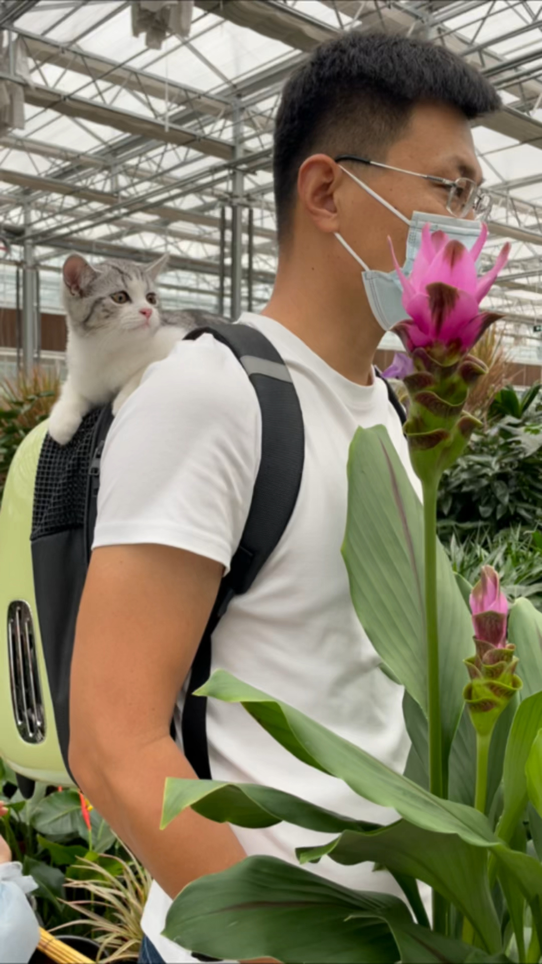 给娃断奶你们有啥好办法