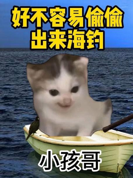 现实版少年派奇幻漂流