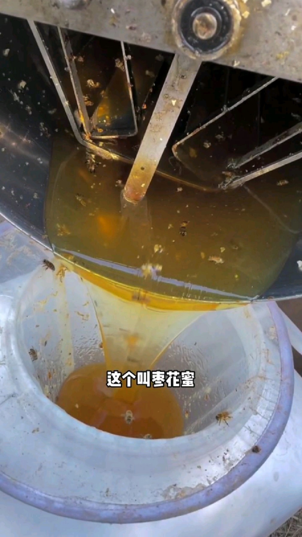 让大家见识一下什么才是真正的好蜂蜜!